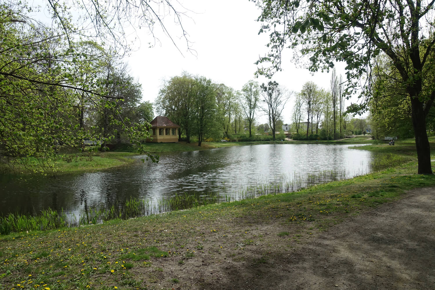 Schlosspark Senftenberg